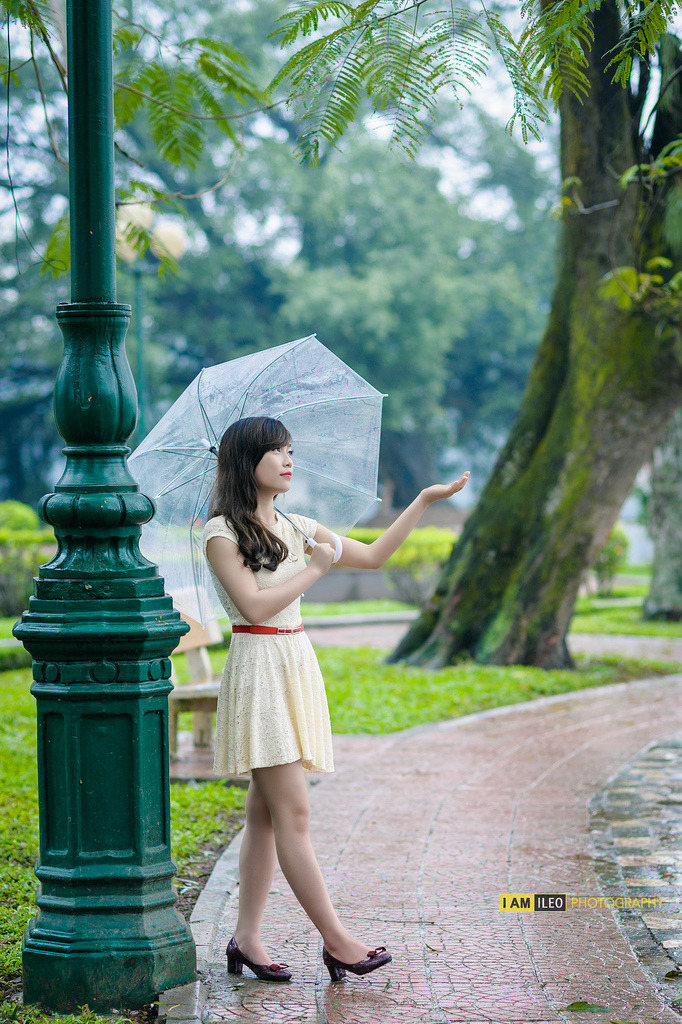 布拉芙夫人在线